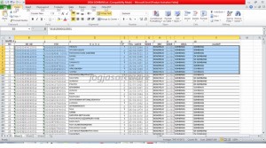Aplikasi Excel Input KK dan AK Prodeskel Kemendagri.GO.ID